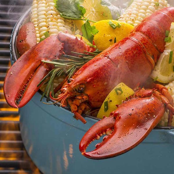 Steamed Lobster & Clam Bakes